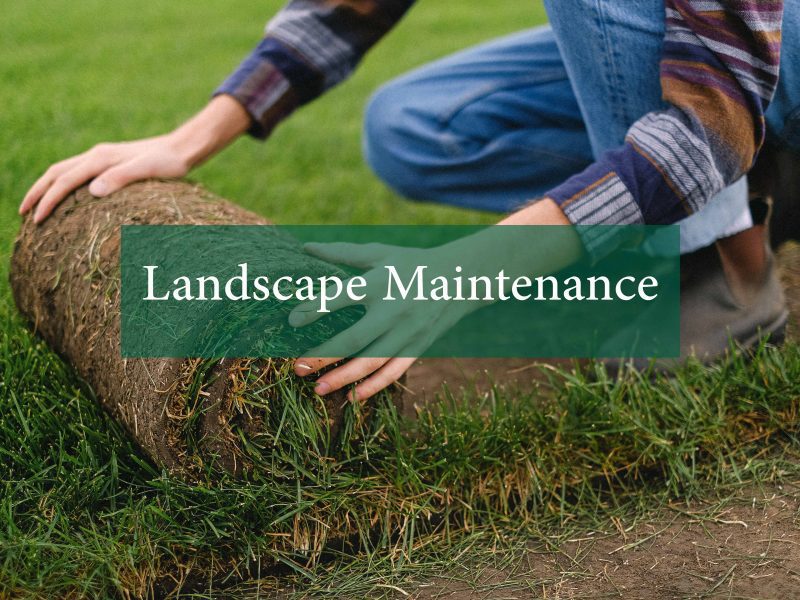 Landscape Maintenance