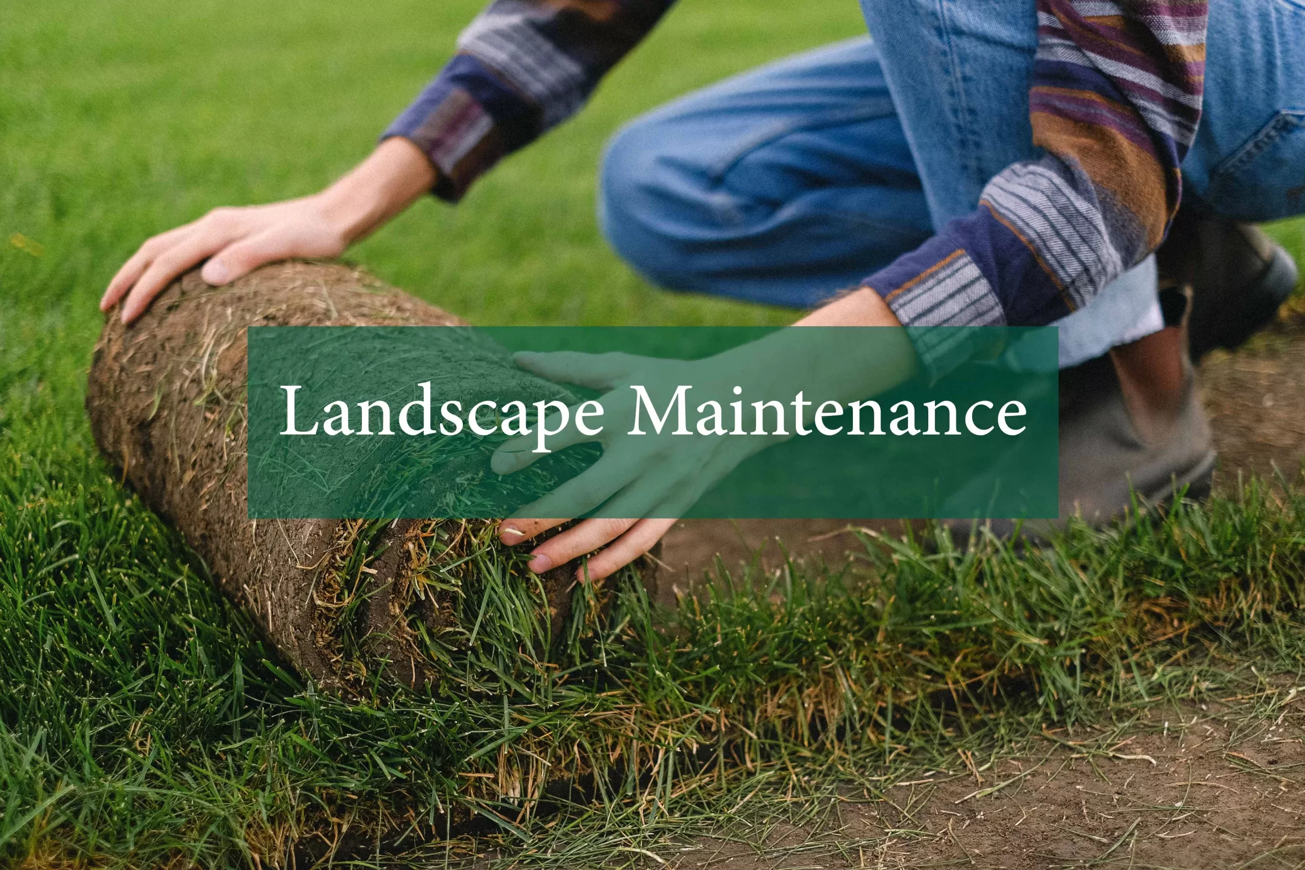 Landscape Maintenance