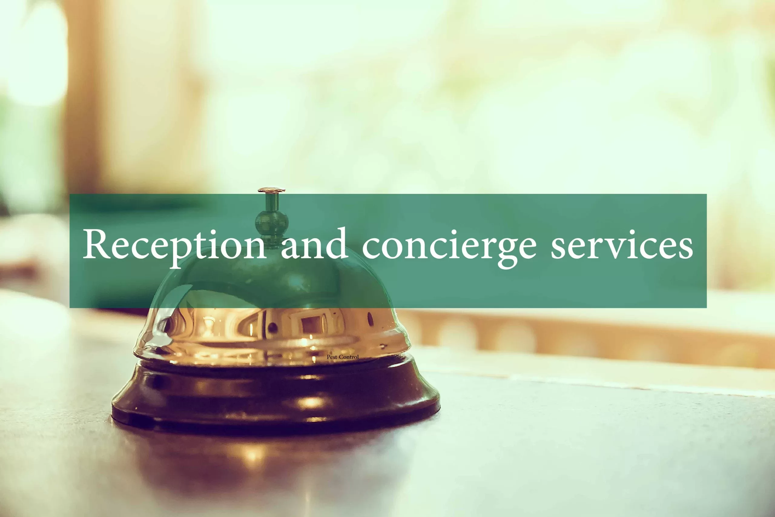 Reception and concierge services